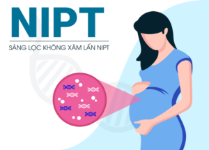 Nguyên lí của xét nghiệm NIPT